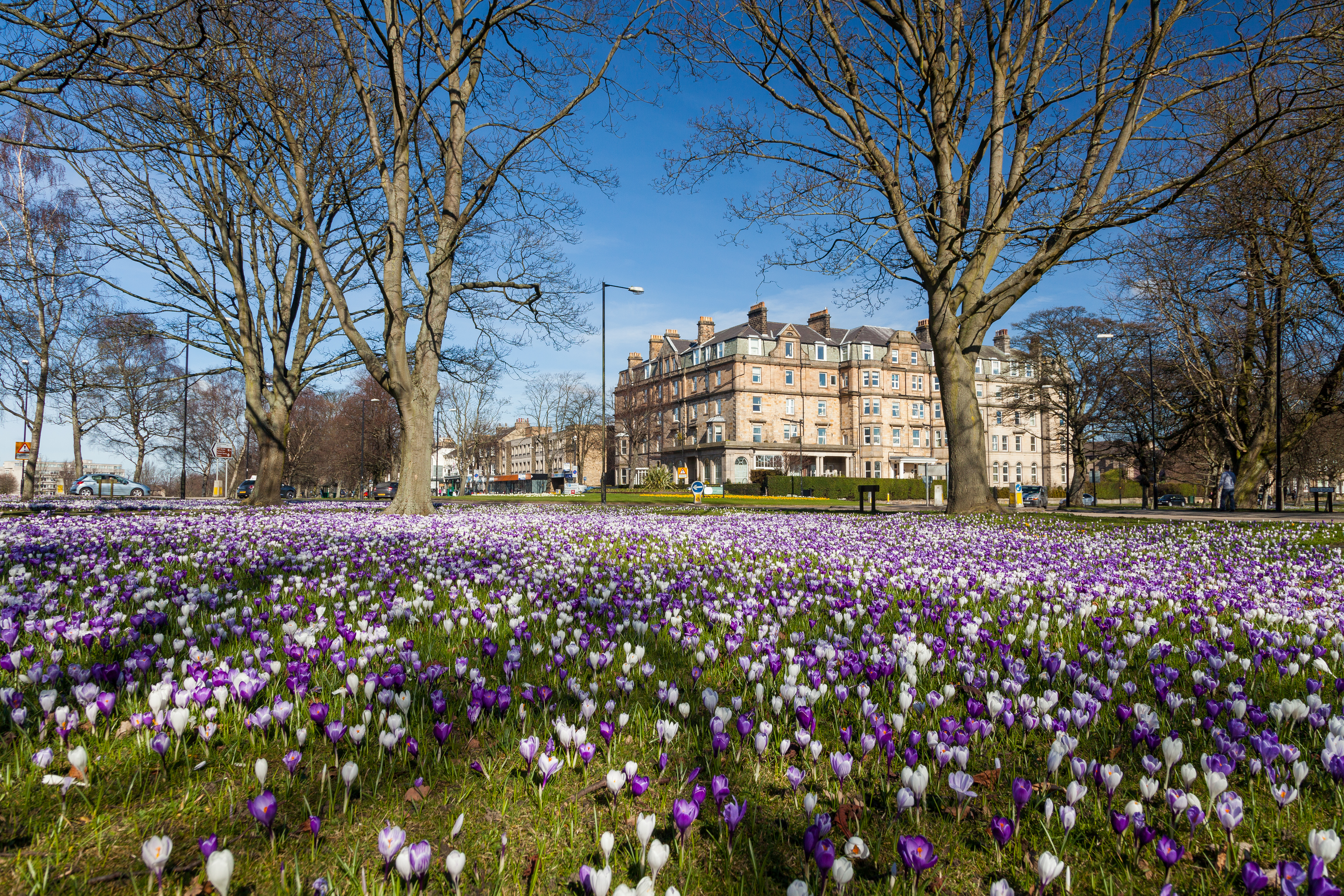 coach tours from harrogate
