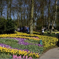 Keukenhof Keukenhof