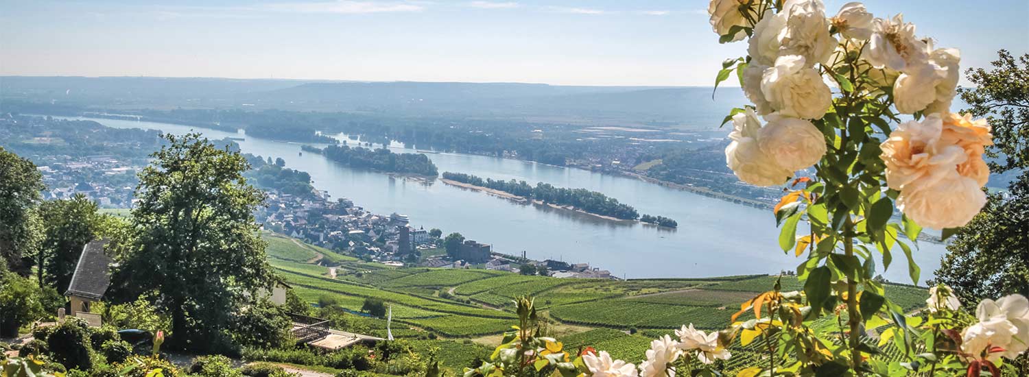 Mighty Rhine to Switzerland Shearings