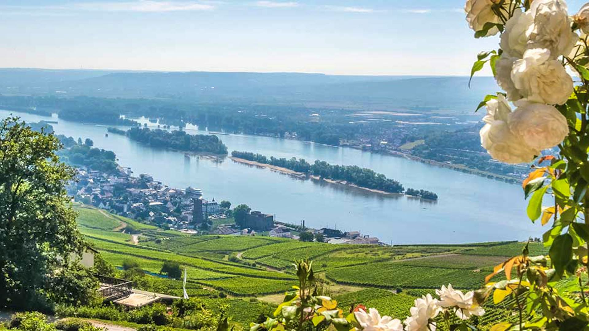 Mighty Rhine to Switzerland Shearings - Main Image