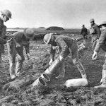 Livens Gas Projector