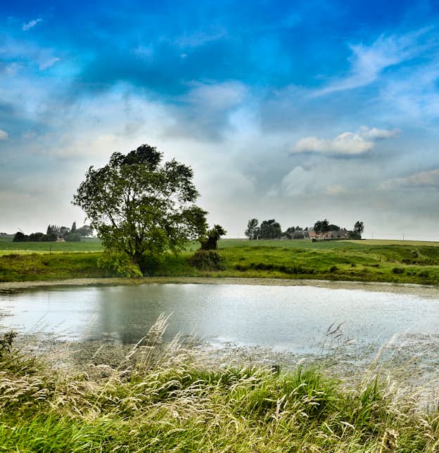 They Called It Passchendaele They Called It Passchendaele