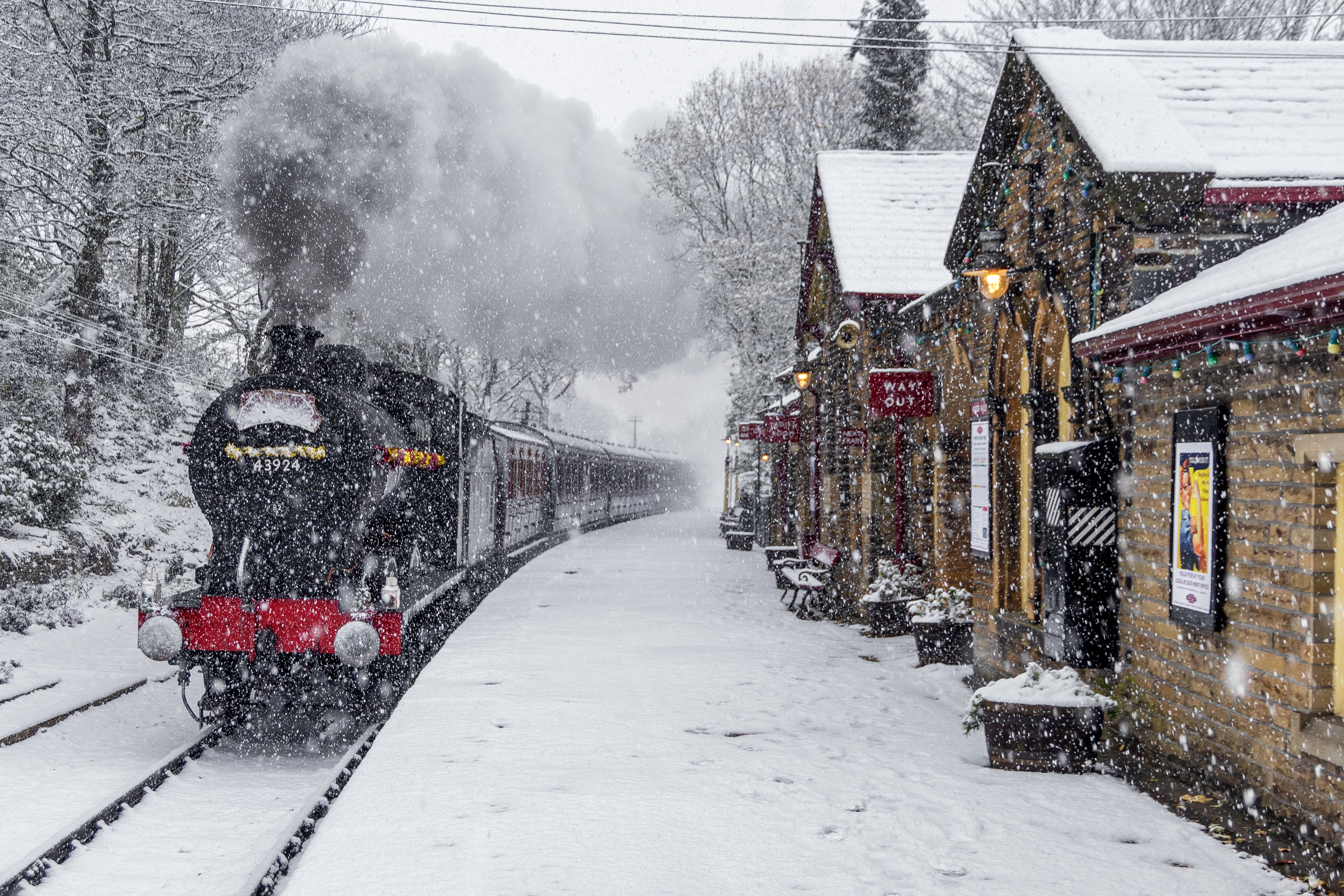 Alpha Self Drive Holidays 2025 