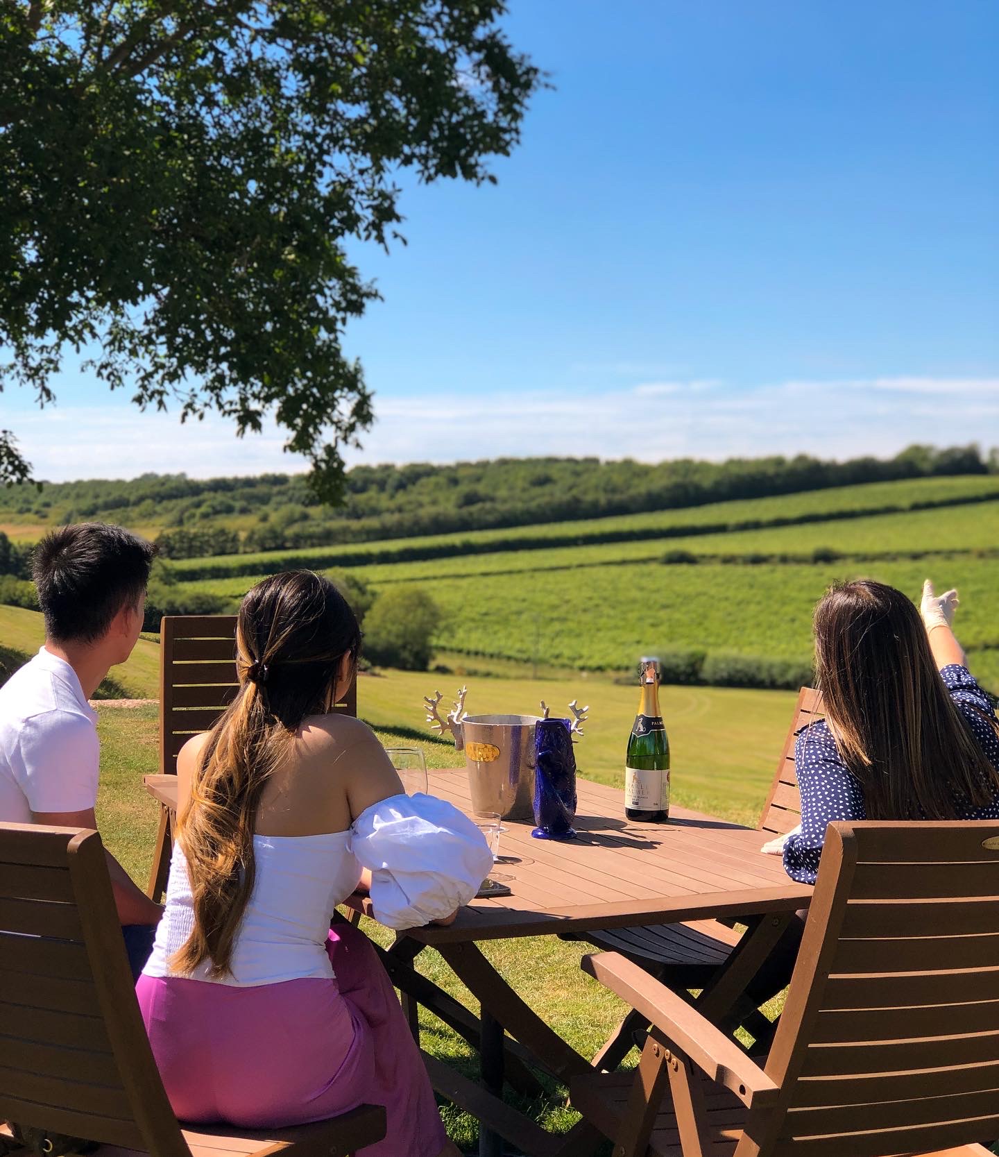 The Kent Wine Trail Vineyards in the Garden of England Arena Travel