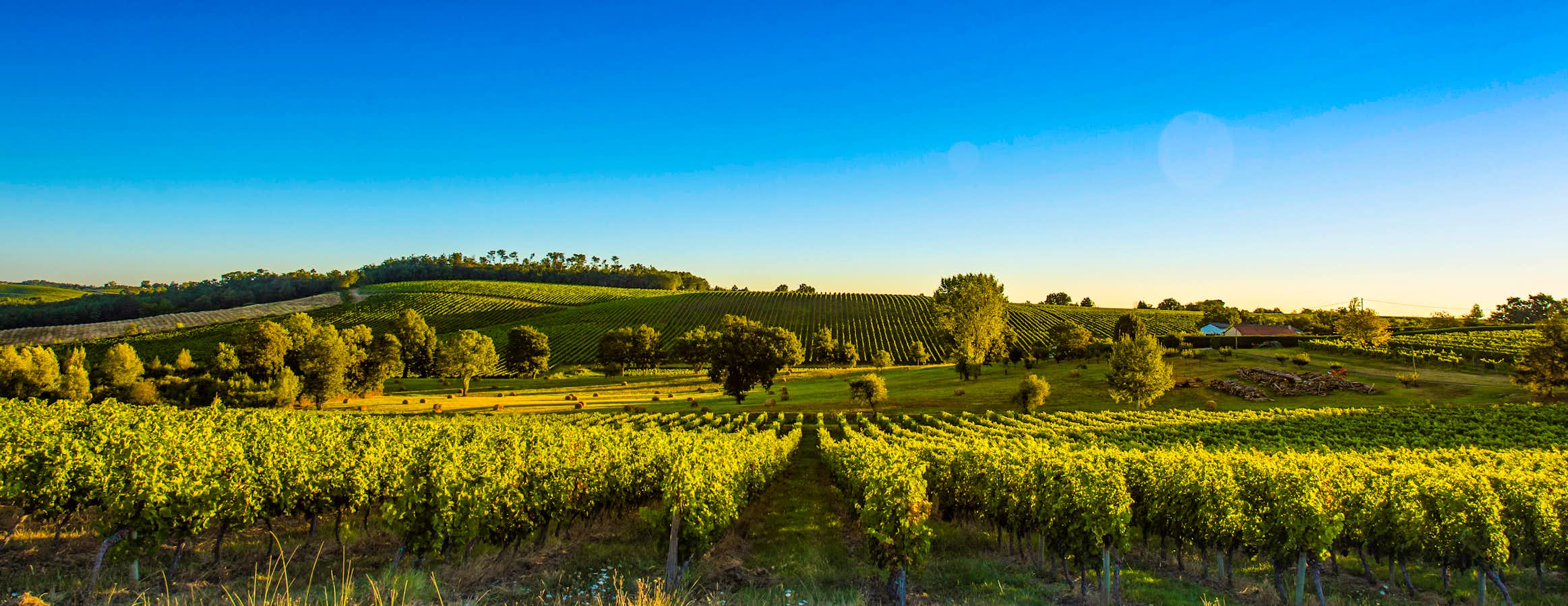 tourhub | Shearings | Cruising the Bordeaux Wine Country 