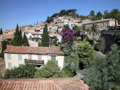 Bormes Les Mimosas