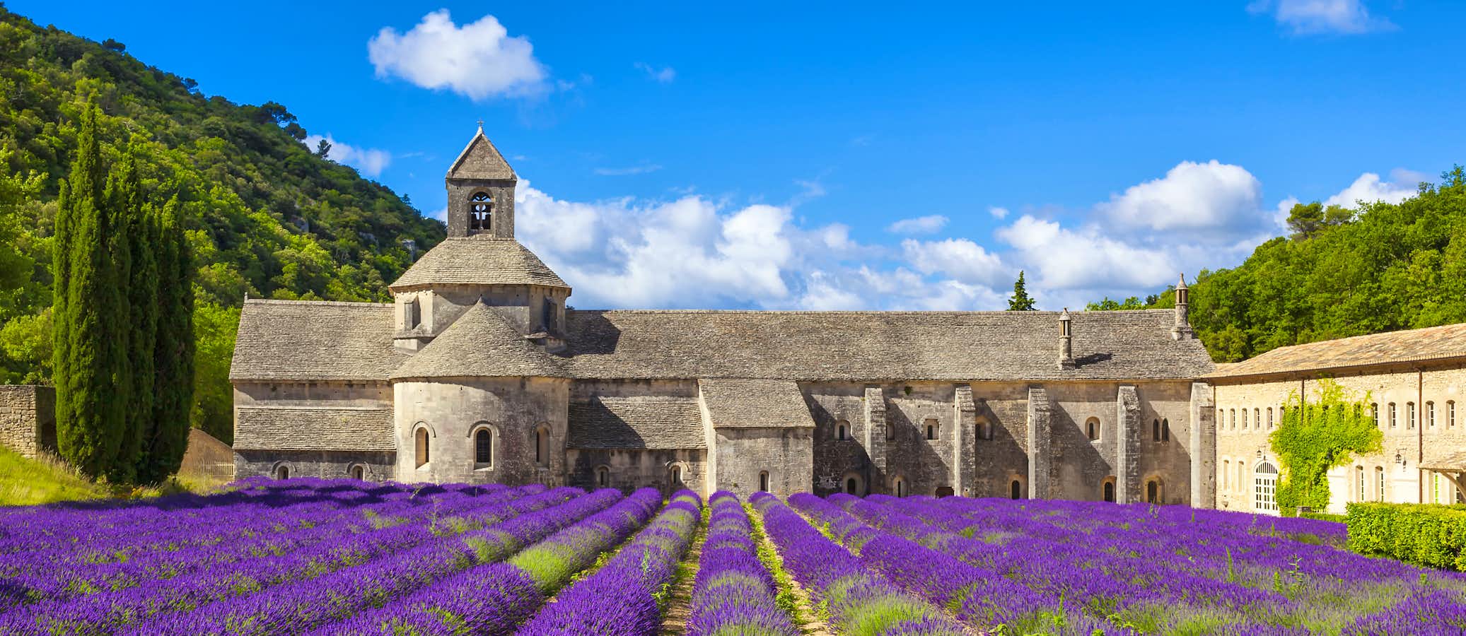 The Perfumes & Colours of Provence