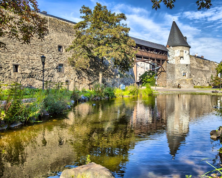 Single andernach