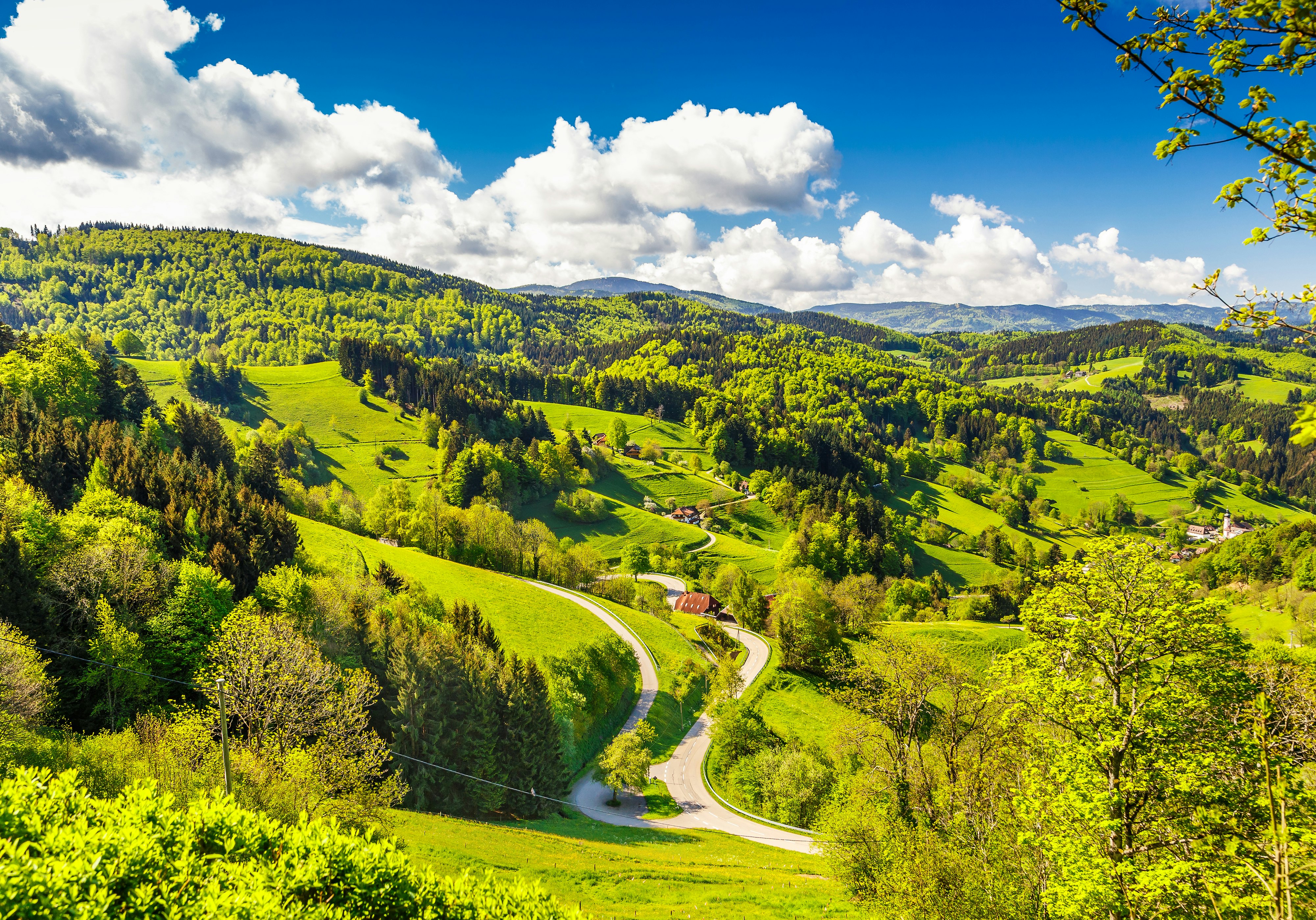 The Enchanting Black Forest & the Rhine Valley Tour  Leger Holidays