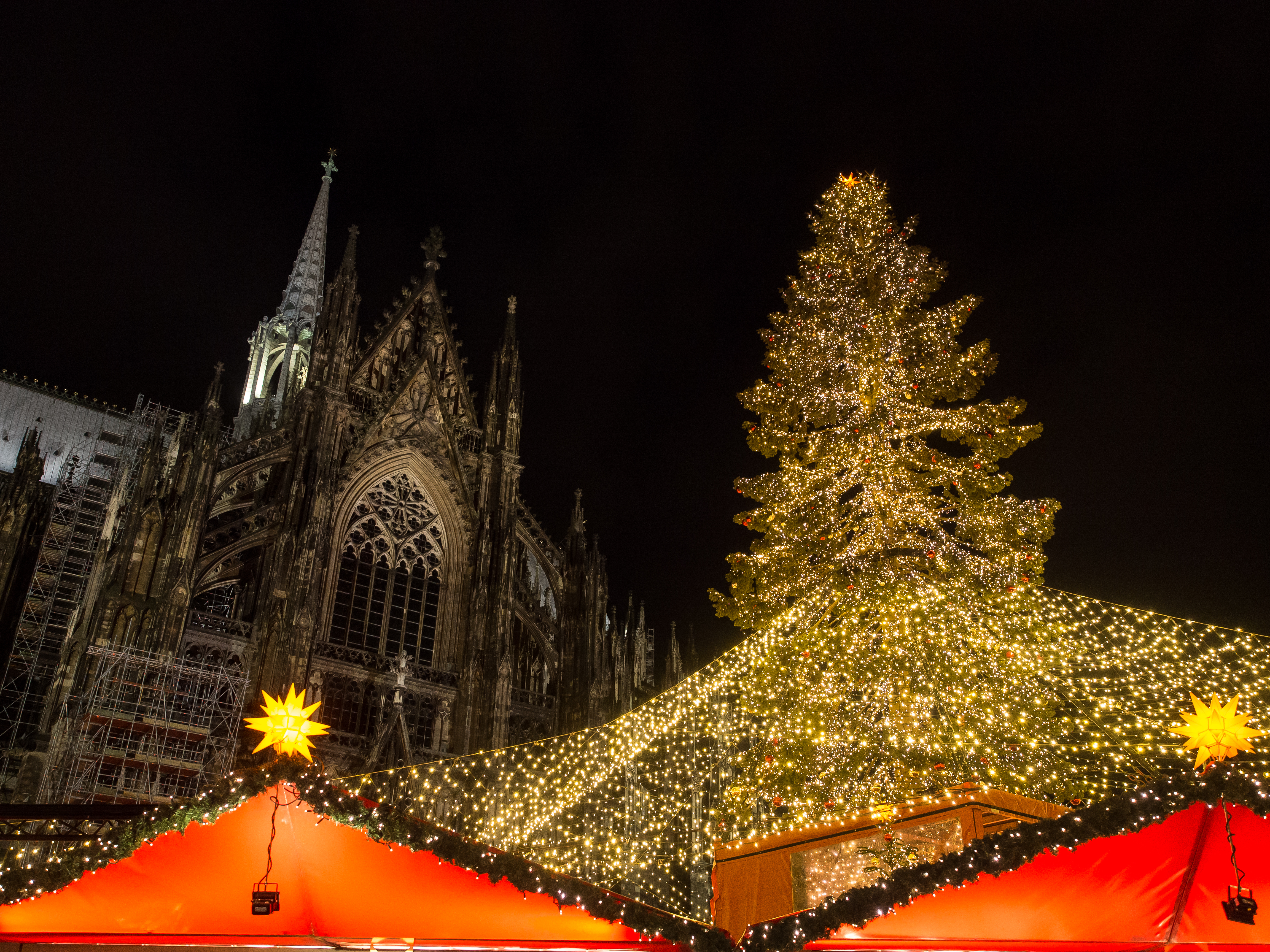 Rhine Valley Christmas Celebration Cruise – MS Serenade 1