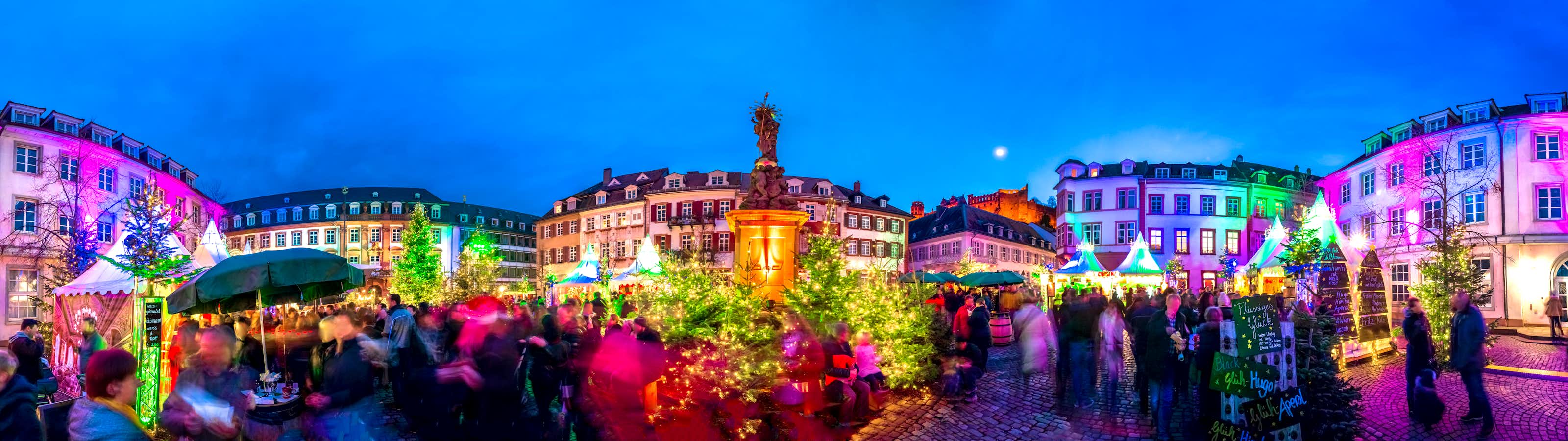 Adult Guide in Heidelberg