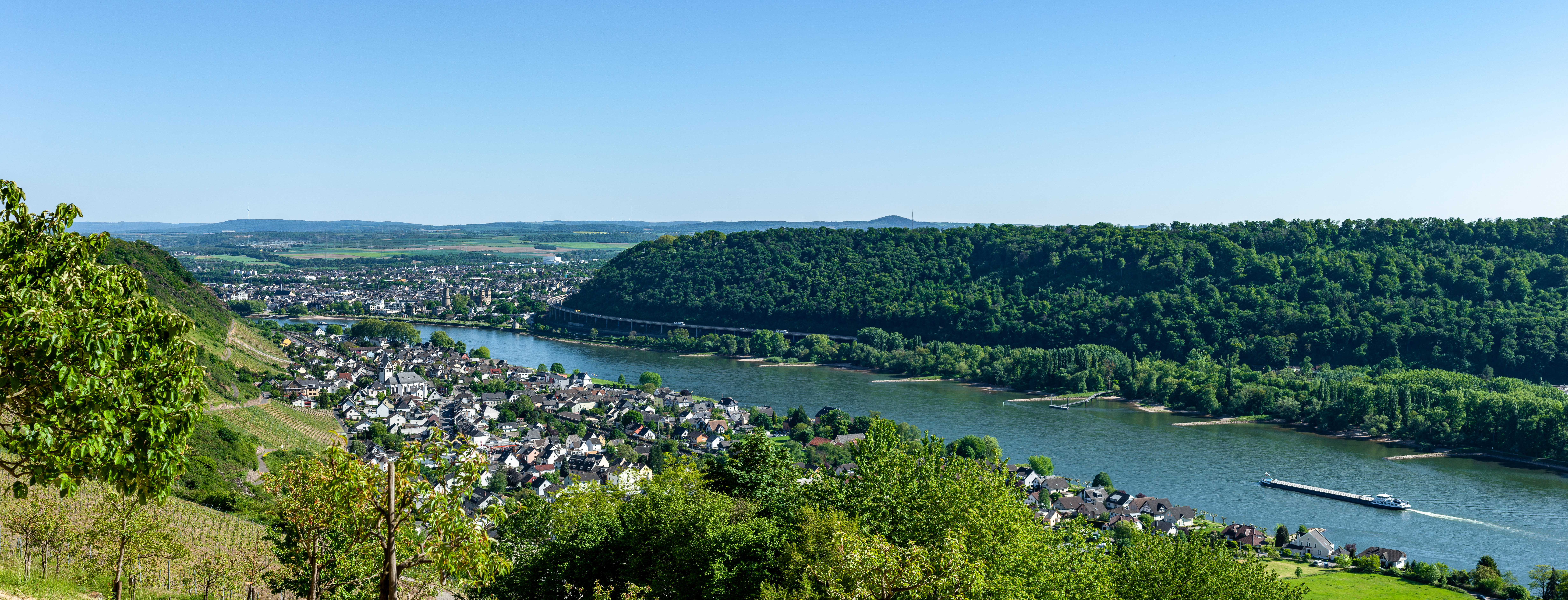 Bridge Holidays, Cruises & Events Arena Travel First for Bridge