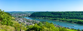 Play Bridge & Explore the Legendary Rhine Valley