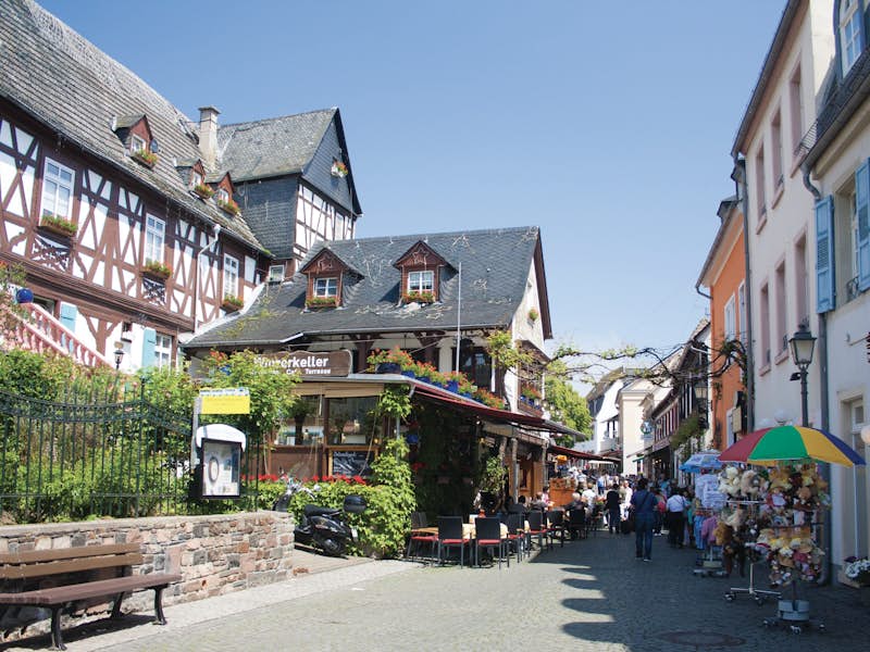 Singles rüdesheim