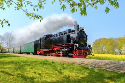 The Rushing Roland Steam Train