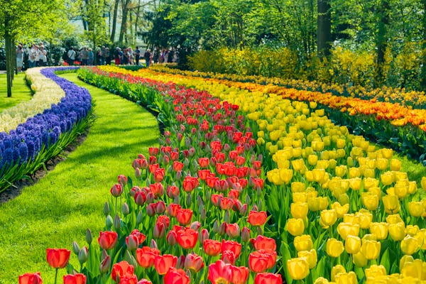Flowers and Garden Holidays - Shearings