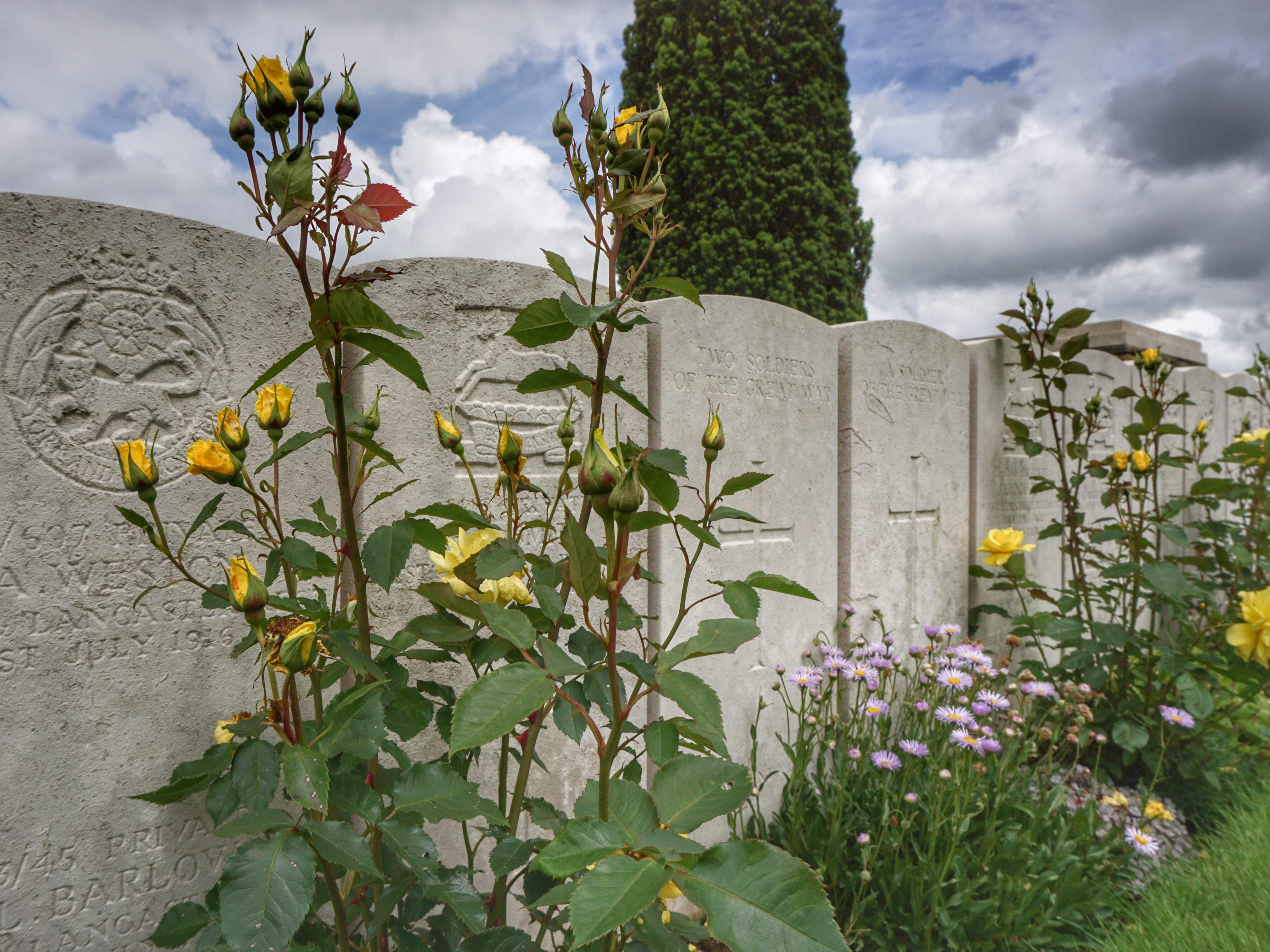 Serre Battlefield