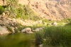 Tropical Wadi in Nakhl, Oman