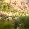 Tropical Wadi in Nakhl, Oman