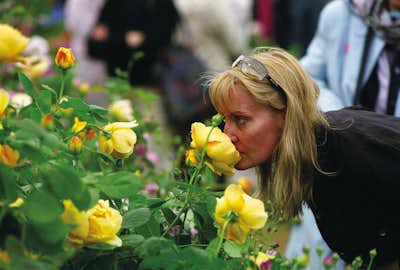 Chelsea Flower Show