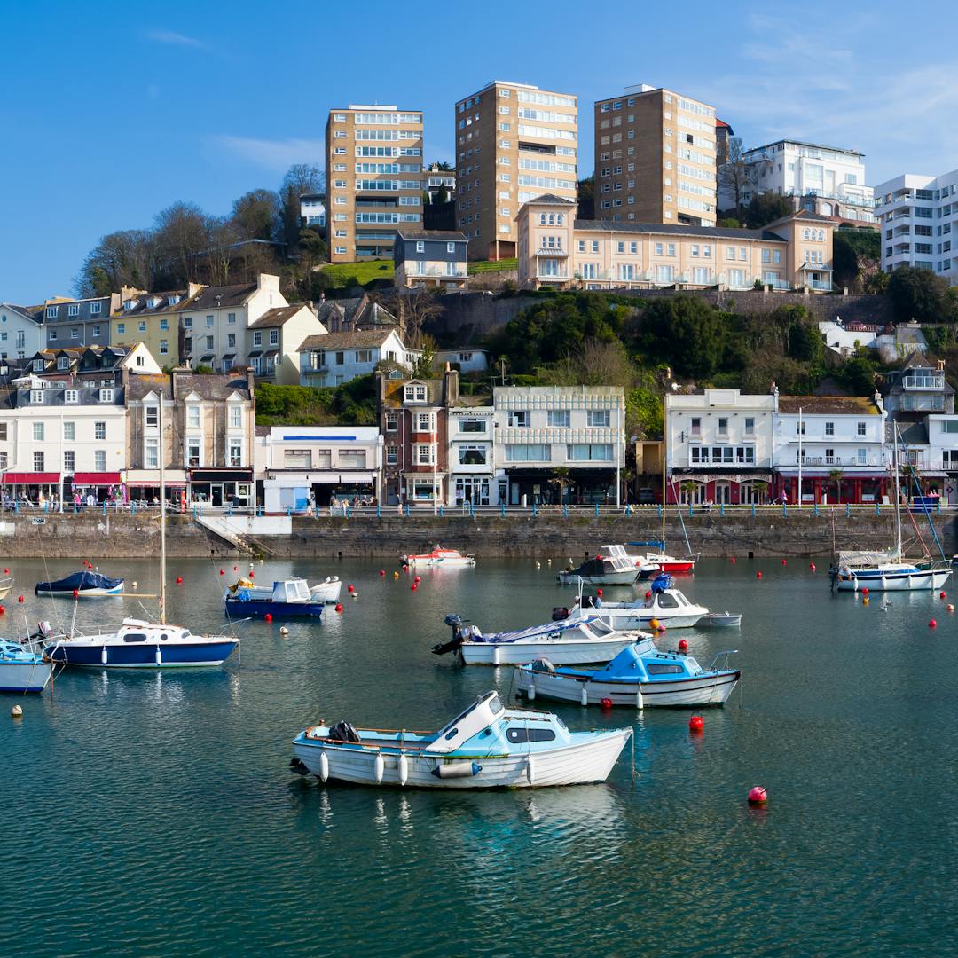 Torquay Devon Delights Shearings Torquay Devon Delights Shearings