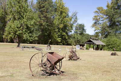 Natchez
