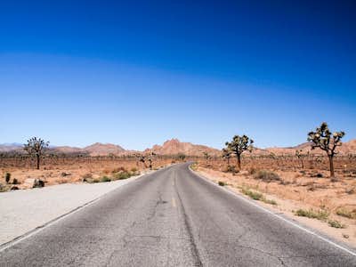 Mojave Desert
