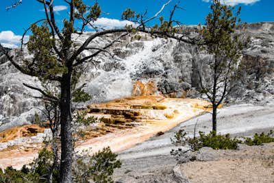Yellowstone