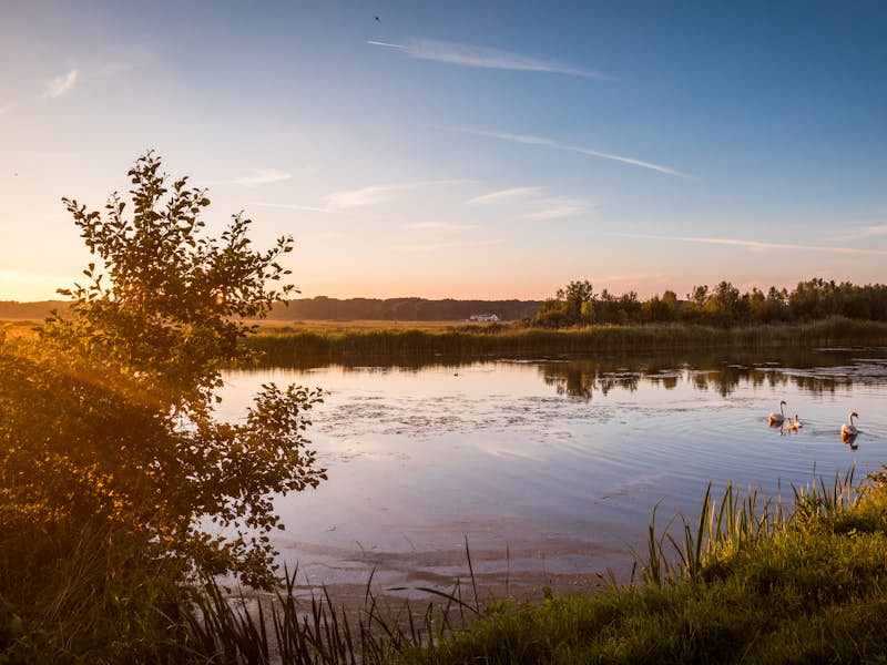 Wassenaar Wassenaar