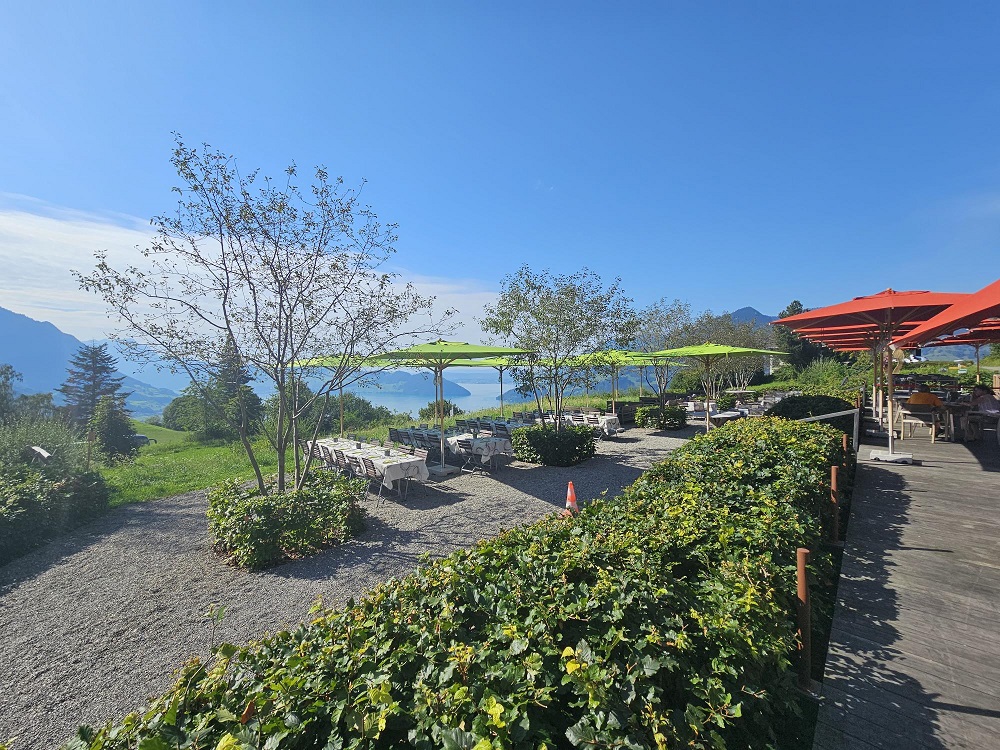 Seeblick Hohenhotel