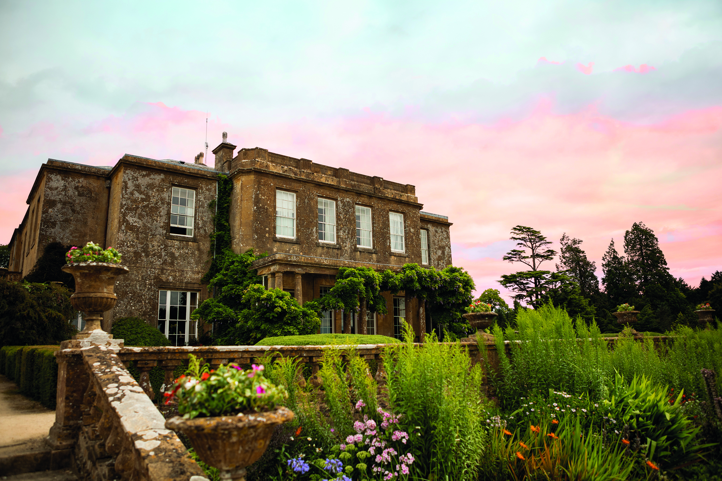 Warner Cricket St. Thomas, Chard